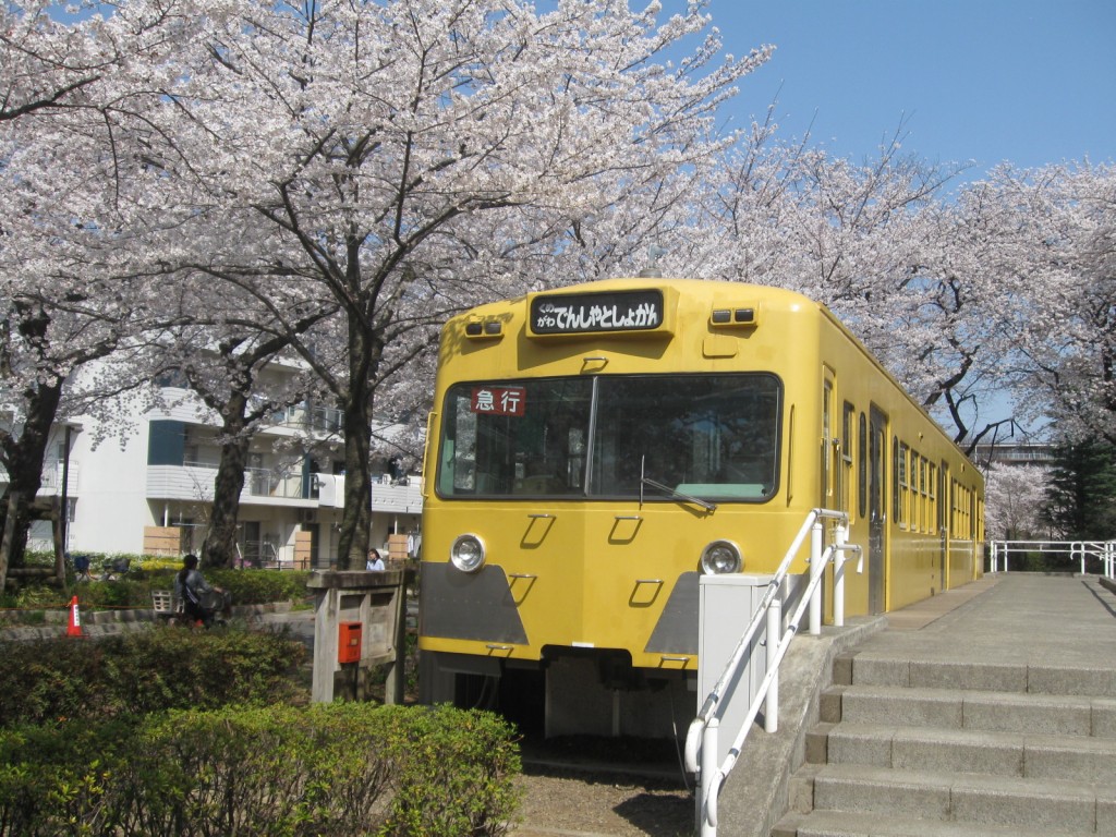 てんとうむしひろば＠くめがわ電車図書館でお花見