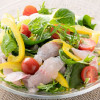 renkotai_carpaccio.jpg