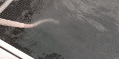 沖入れ.gif