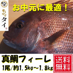 たい無料.jpg