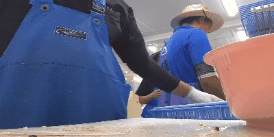 Videotogif (38).gif