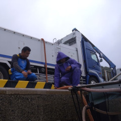 フグ稚魚2.jpg