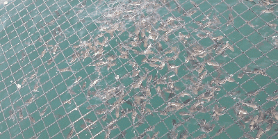 Videotogif (45).gif