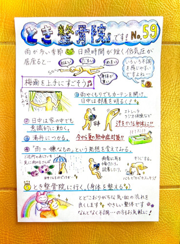 IMG_2483.jpeg