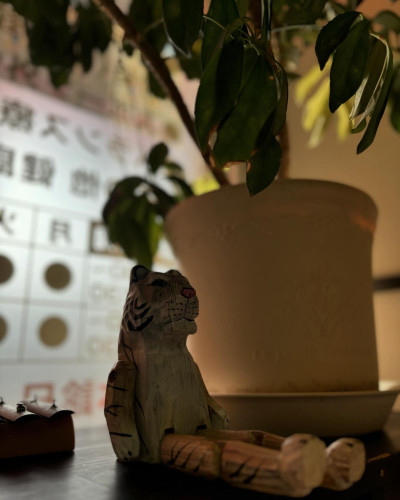 C7A85114-4AF3-482C-B064-C9162E69E7C5.jpeg