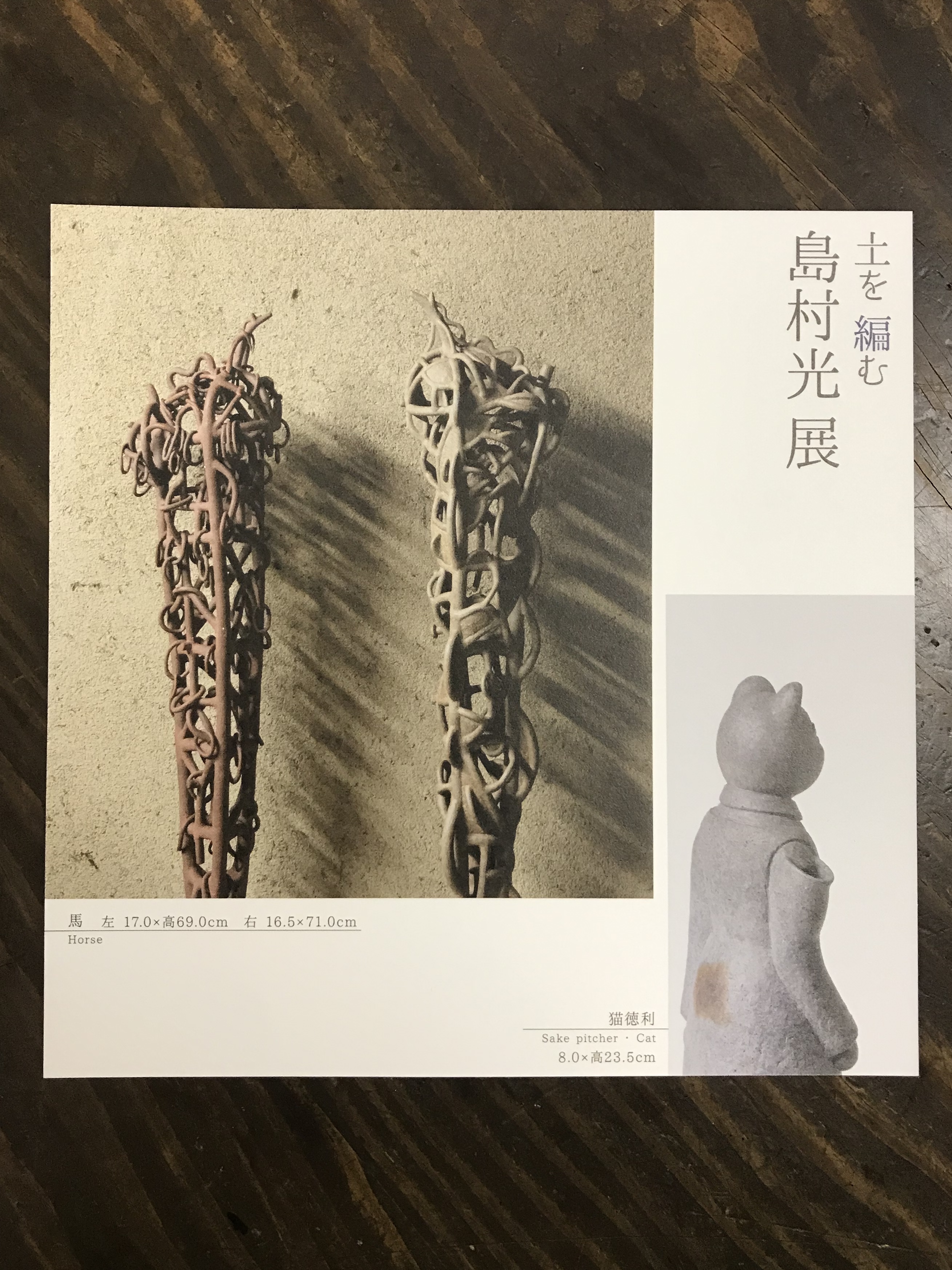 島村光展DM.jpg