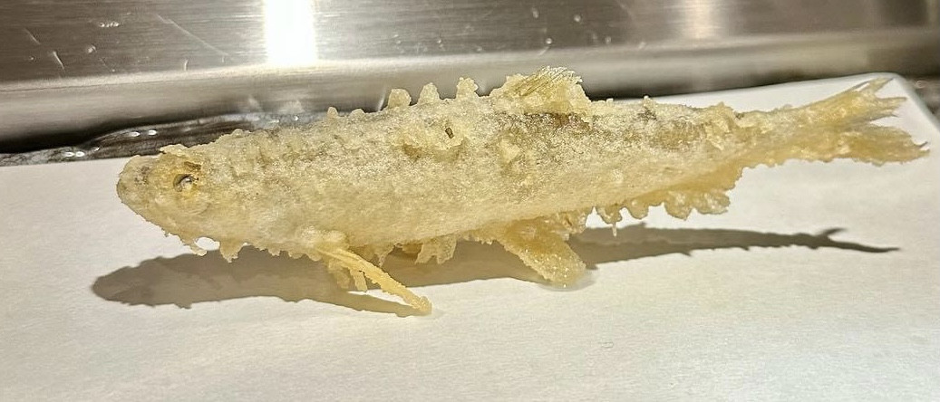 冬～早春の食材