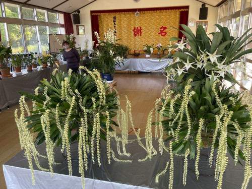 S__121872389.jpg