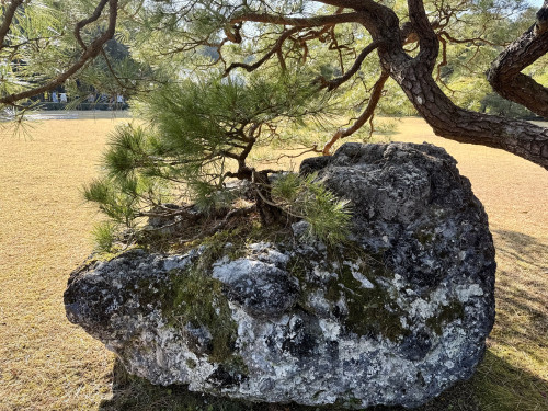 IMG_1967.jpeg