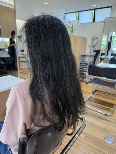 IMG_3793.jpeg