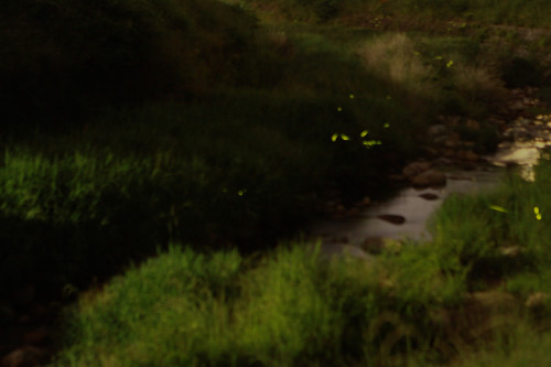 IMG_6715.JPG