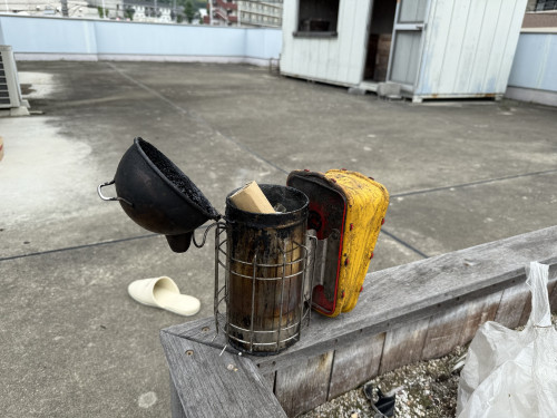 IMG_3821.jpeg