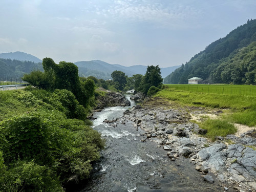 IMG_4046.jpeg