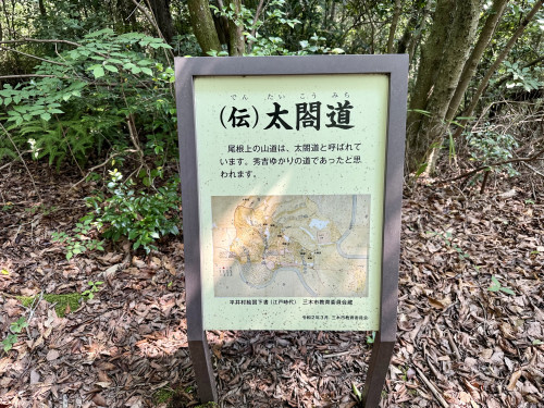 IMG_4137.jpeg