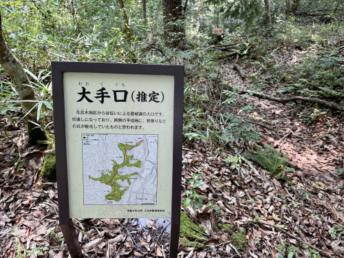 IMG_4143.jpeg