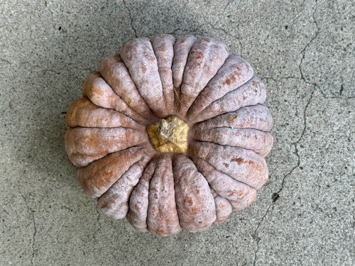 🎃