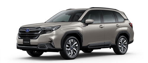 Forester_Premium_CashmereGold.jpg