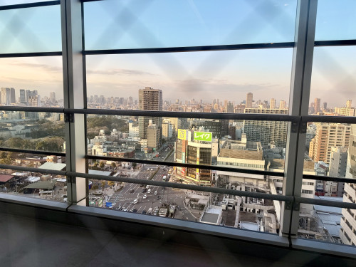 IMG_6655.jpeg
