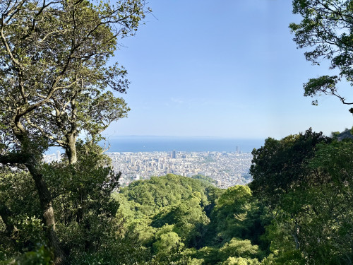 IMG_7164.jpeg