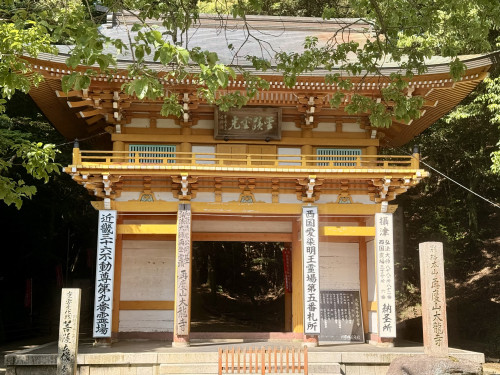 IMG_7188.jpeg