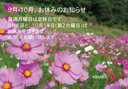 秋桜