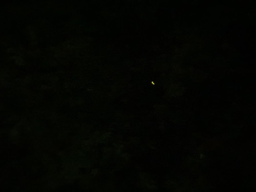 IMG_1071.jpeg