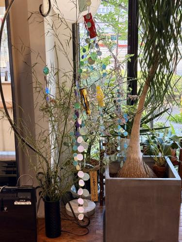 🎋