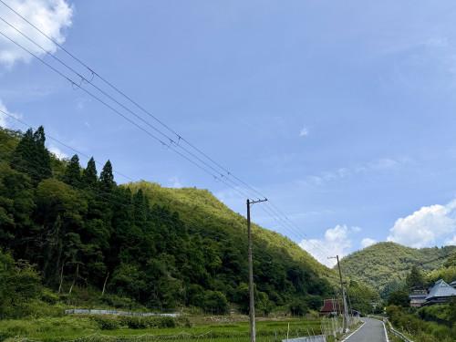 IMG_7571.jpeg