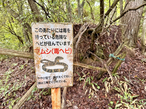 IMG_7948.jpeg