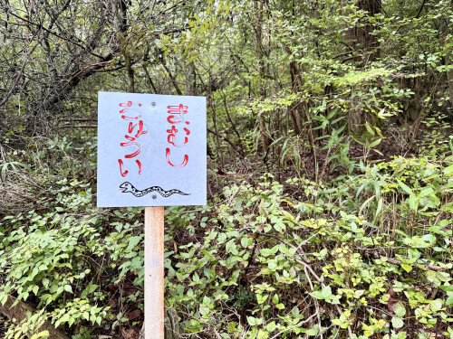 IMG_7945.jpeg