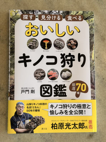 🍄‍🟫📘🍄