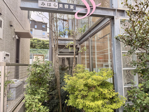 IMG_8064.jpeg