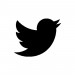 Twitter_Logo_WhiteOnImage.jpg