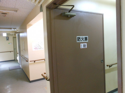 DSCN8661.JPG