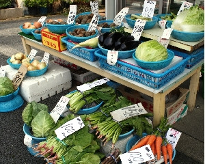 とれとれ新鮮地場野菜♪