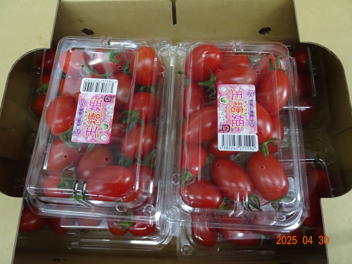 DSC04337.JPG
