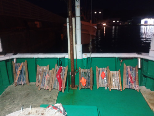 IMG_20250430_042422166_MFNR.jpg