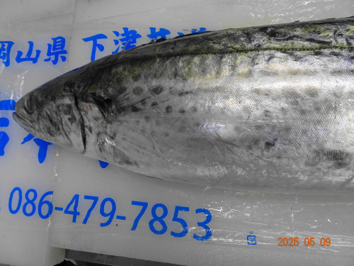 DSC04511.JPG