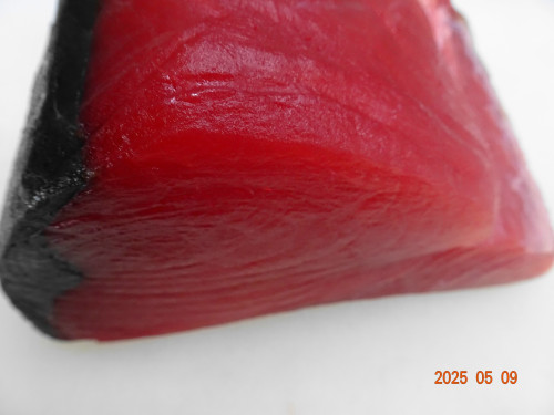 DSC04516.JPG