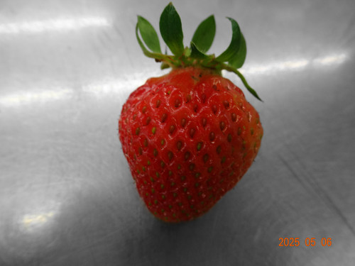 DSC04478.JPG