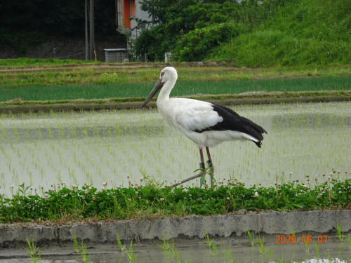 DSC05078.JPG