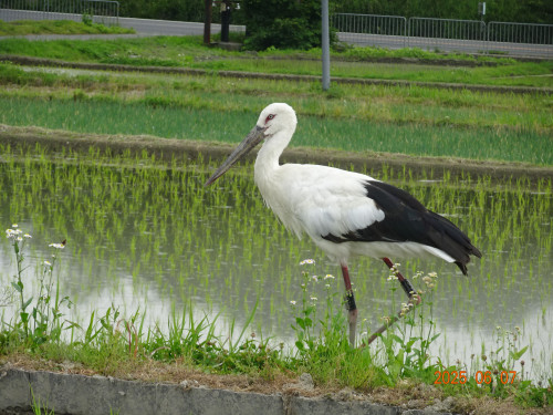 DSC05081.JPG
