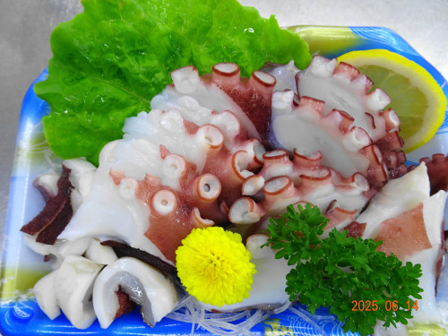 DSC05248.JPG