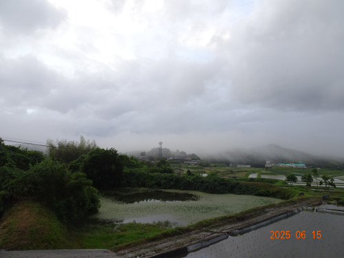 DSC05253.JPG