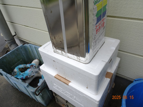 DSC05264.JPG