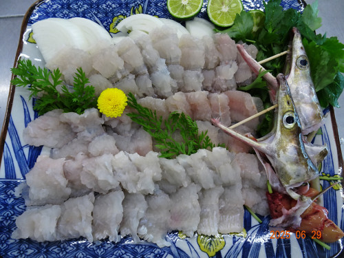 DSC05558.JPG