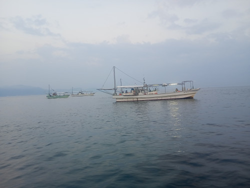 IMG_20250816_052438300_MFNR.jpg