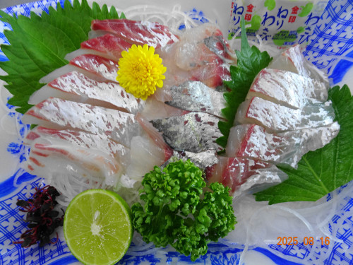 DSC06574.JPG