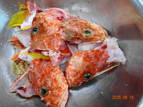 DSC06586.JPG
