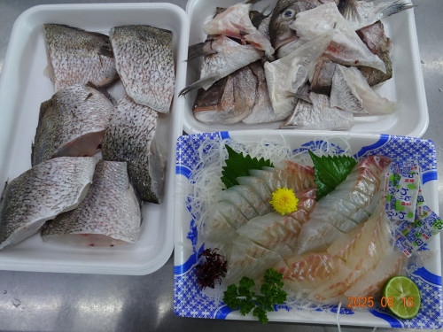DSC06582.JPG